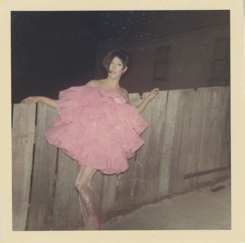 Download the full-sized image of Photograph of Alexis Francois in Pink Layered Dress