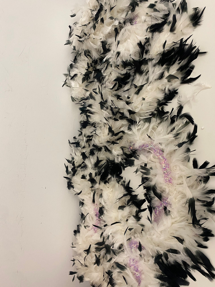 Download the full-sized PDF of Photo of Black and White Feather Boa