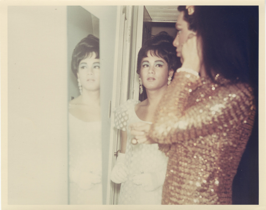 Download the full-sized PDF of Photograph of Alexis Francois in Shimmery Dress With Person Reflected in Mirror