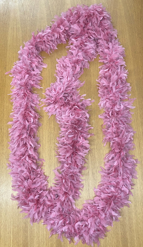 Download the full-sized PDF of Photo of Pink Feather Boa