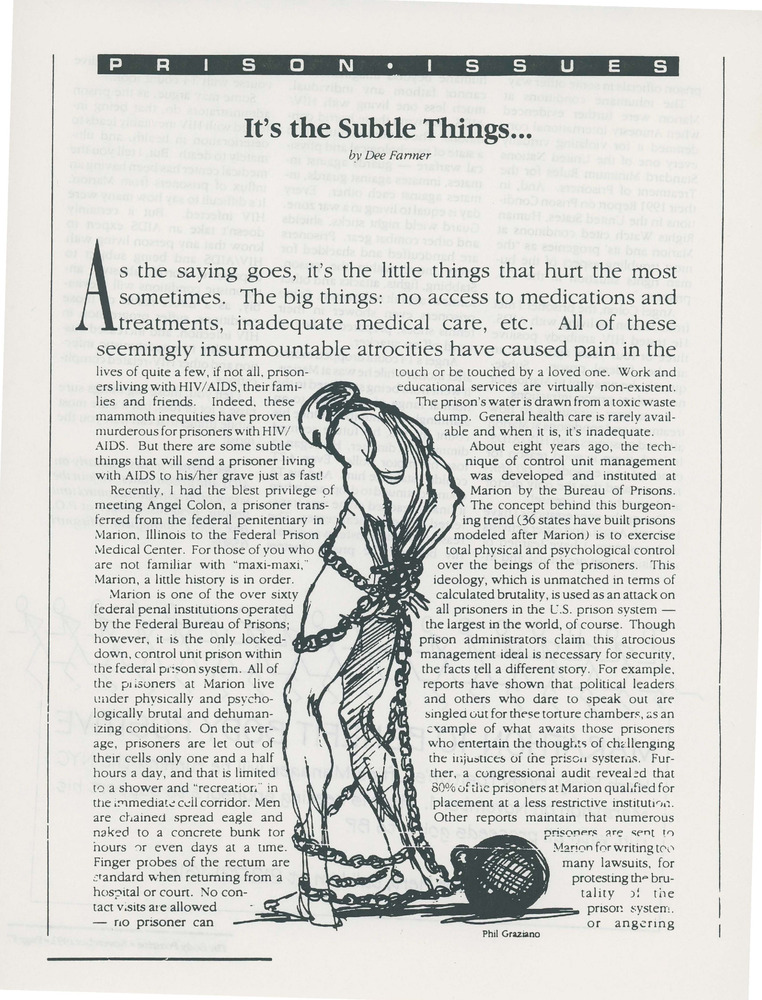 Download the full-sized PDF of Prison Issues: It's the Subtle Things...