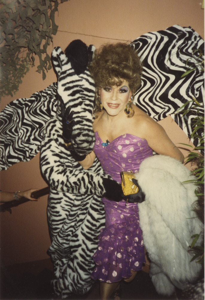 Download the full-sized image of Photograph of Person in a Dress and Person Dressed as a Zebra