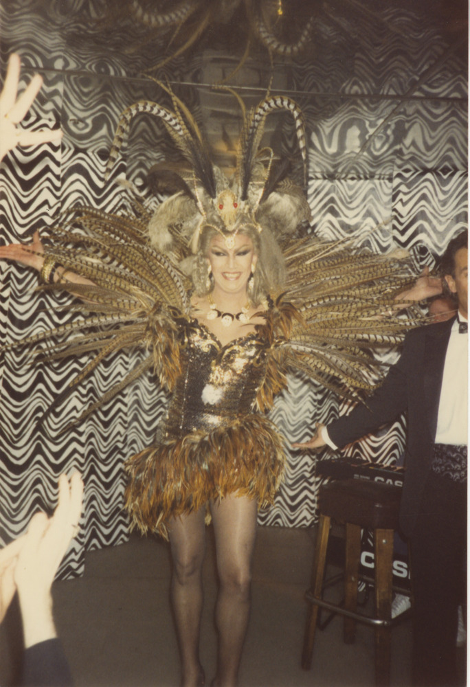Download the full-sized image of Photograph of Person in Feathery Extravagant Outfit