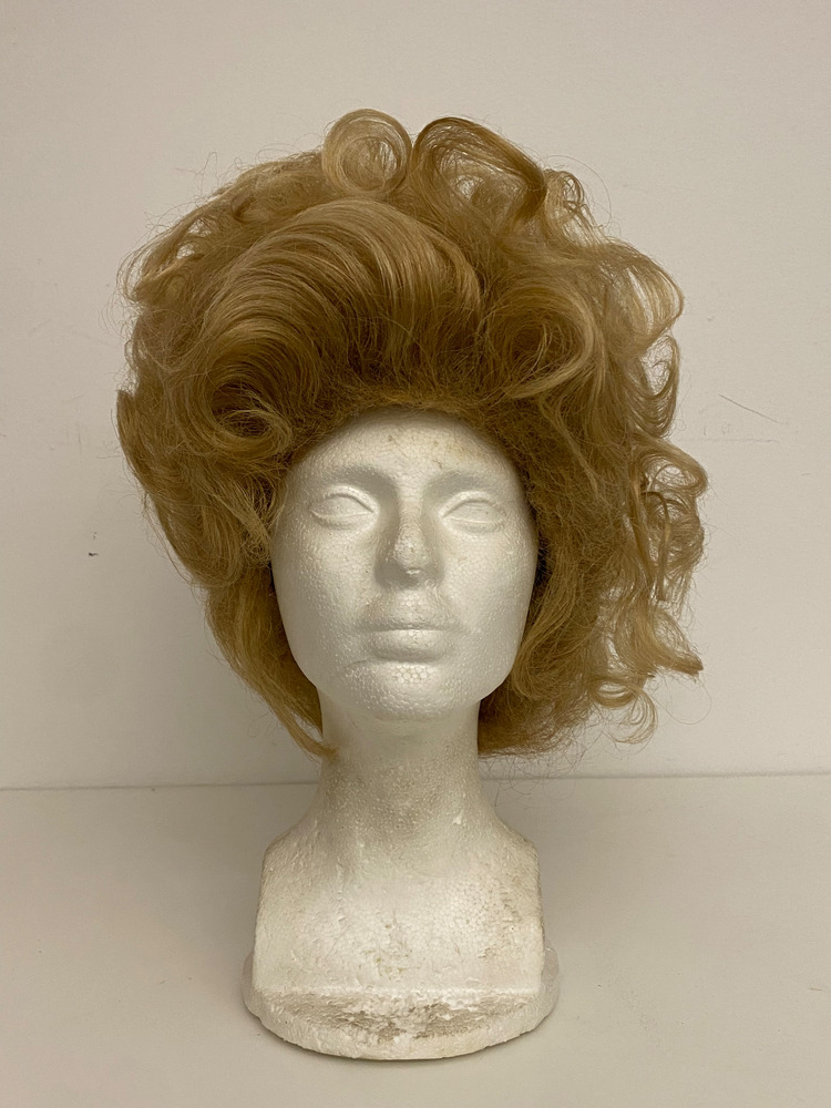 Download the full-sized PDF of Photo of Blonde Wig