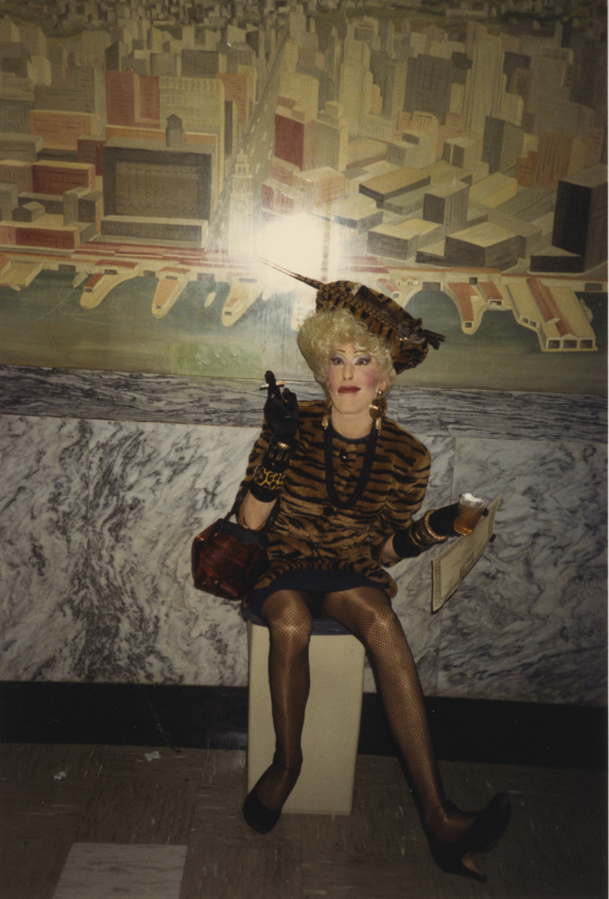 Download the full-sized image of Photograph of Person in Brown and Black Tiger-Striped Dress