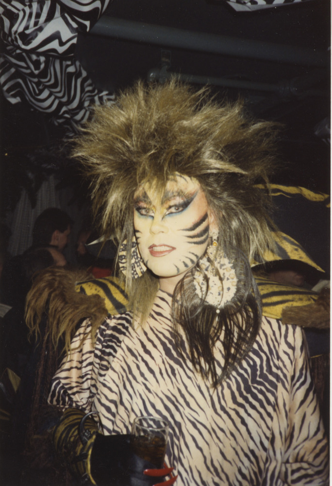 Download the full-sized image of Photograph of Person Wearing Cat Face Paint